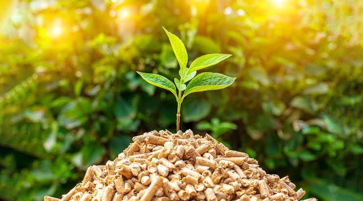 Biomass Energy Systems