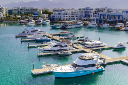 Marina Town